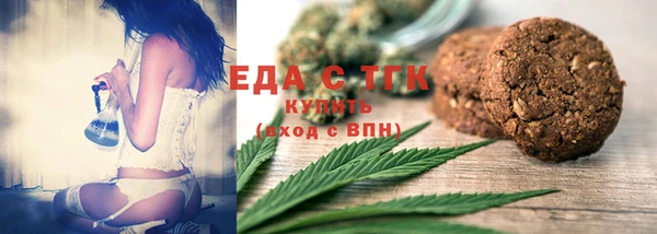 гидра Верхний Тагил