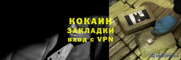 гидра Верхний Тагил