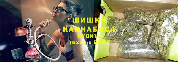гидра Верхний Тагил