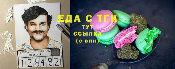 гидра Верхний Тагил