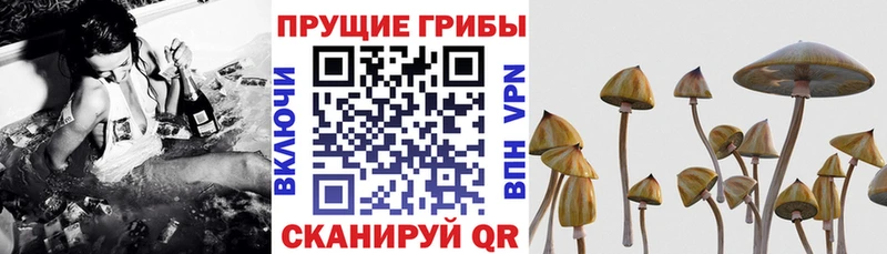 Галлюциногенные грибы ЛСД  где найти наркотики  Кизел 